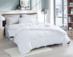 UFD波兰羽绒被白鹅绒冬被加厚保暖双人被芯鹅绒被单人被芯春秋被