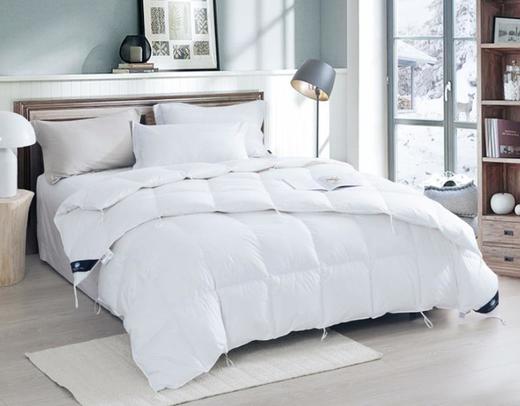 UFD波兰羽绒被白鹅绒冬被加厚保暖双人被芯鹅绒被单人被芯春秋被 商品图0