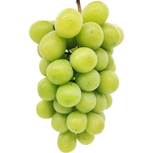 【日本晴王】阳光玫瑰葡萄  5斤/箱 商品图0