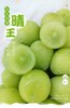 【日本晴王】阳光玫瑰葡萄  5斤/箱 商品缩略图1