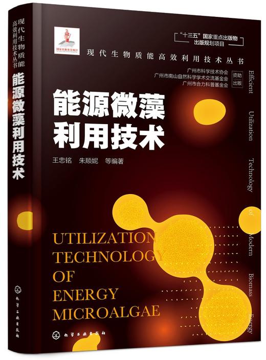 现代生物质能高效利用技术丛书 能源微藻利用技术 商品图0