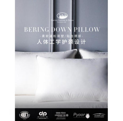 UFD羽绒枕95白鹅绒枕头枕芯护颈椎枕五星级酒店100支全棉单人助眠 商品图2