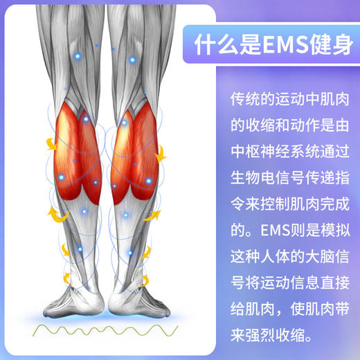 【甩掉大粗腿，水肿腿】VONMIE浮光垫 沃脉塑腿垫足底按摩足疗EMS美腿仪微电流小腿塑形纤腿 商品图4