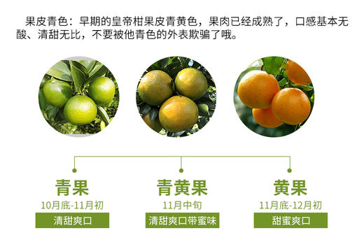 【武皇都爱】皇帝柑 御品贡品 爽脆化渣丹霞山脚下 长在树上的“爆汁橙” 商品图7