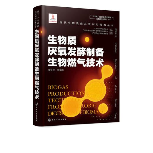 现代生物质能高效利用技术丛书 生物质厌氧发酵制备生物燃气技术 商品图5