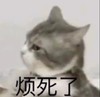 猫猫玩具 商品缩略图0