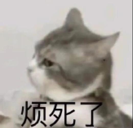 猫猫玩具 商品图0