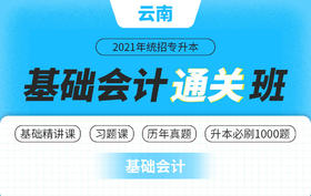 云南基础会计总分类账与明细分类账
