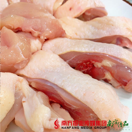 【珠三角包邮】新鲜现切走地鸡块 500g±50g/盒（次日到货） 商品图1