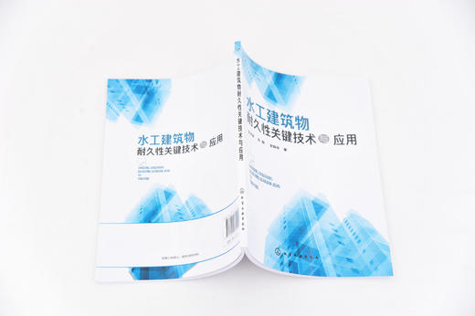 水工建筑物耐久性关键技术与应用 水工建筑物耐久性研究 橡胶粉混凝土制备关键技术 橡胶粉混凝土力学变形断裂和耐久性能研究书籍 商品图3