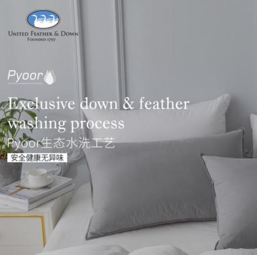 UNITED FEATHER&DOWN美国羽绒枕单人枕芯护颈椎 商品图2
