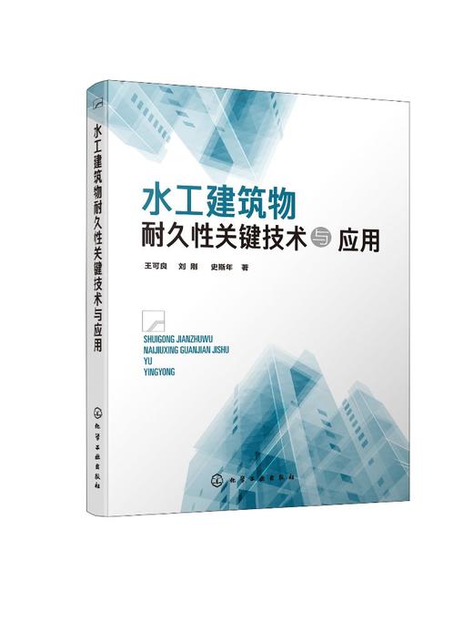 水工建筑物耐久性关键技术与应用 水工建筑物耐久性研究 橡胶粉混凝土制备关键技术 橡胶粉混凝土力学变形断裂和耐久性能研究书籍 商品图0