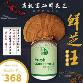 活的有机富硒鲜灵芝-鲜芝王 新鲜的活灵芝