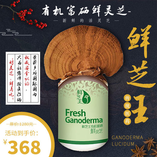 活的有机富硒鲜灵芝-鲜芝王 新鲜的活灵芝 商品图0