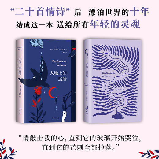 新书预售  大地上的居所 诺贝尔文学奖得主聂鲁达 献给有理想的伤心人 外国文学小说【随书赠送书签】 商品图2
