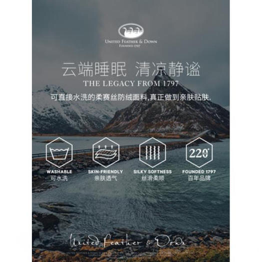 UFD空调被可水洗夏被90白鹅绒轻薄夏凉被双人夏季被酒店羽绒被 商品图2