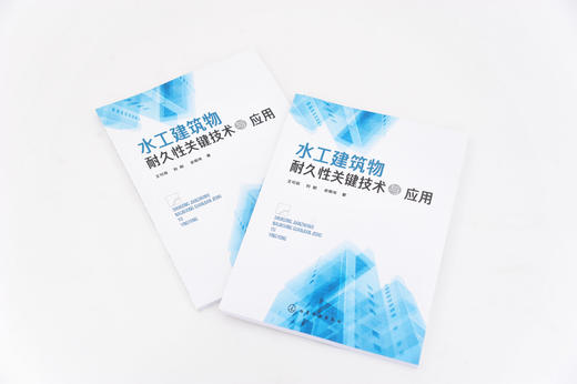 水工建筑物耐久性关键技术与应用 水工建筑物耐久性研究 橡胶粉混凝土制备关键技术 橡胶粉混凝土力学变形断裂和耐久性能研究书籍 商品图2