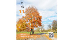 【花丘•心语】