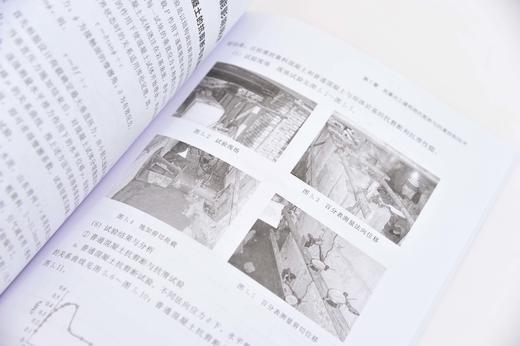 水工建筑物耐久性关键技术与应用 水工建筑物耐久性研究 橡胶粉混凝土制备关键技术 橡胶粉混凝土力学变形断裂和耐久性能研究书籍 商品图4
