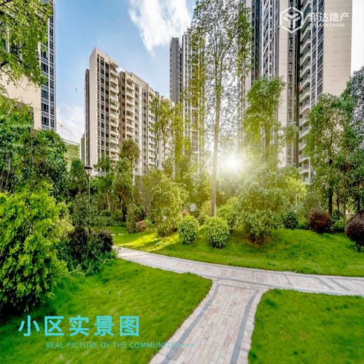 【佛山南海】怡翠尊堤 参考均价：25000元/平 建面：83-149方 参考总价：208万/套 商品图8