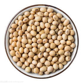 黄豆  500g （五斤起批）批
