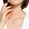 Swarovski施华洛世奇十二星座锁骨项链 商品缩略图13