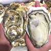 威海·乳山双龟岛鲜活超大（3-4只/斤）牡蛎5/9斤新鲜带壳海蛎子 商品缩略图3