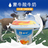 蒙牛风味酸奶100g*8（2板） 商品缩略图2