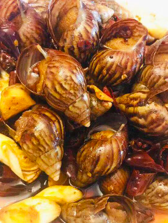 【白玉大蜗牛】