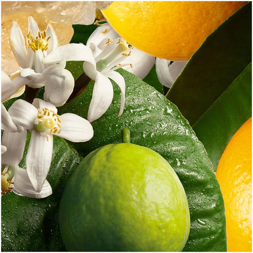 moltonbrown橙子佛手柑沐浴露