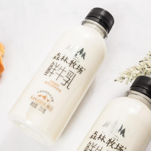 【买一送一】森林牧场系列-鲜牛奶瓶装250ML*2瓶 商品图2