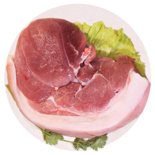 【生鲜预定】【鲜猪肉】猪前腿肉 1kg 商品图0