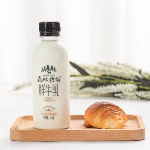 【买一送一】森林牧场系列-鲜牛奶瓶装250ML*2瓶 商品图1
