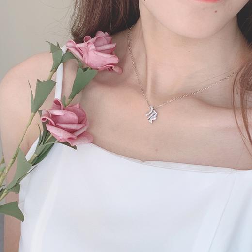 Swarovski施华洛世奇十二星座锁骨项链 商品图4