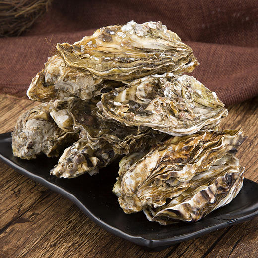 威海·乳山双龟岛鲜活超大（3-4只/斤）牡蛎5/9斤新鲜带壳海蛎子 商品图2