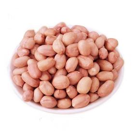 花生豆（500g） （五斤起批）批