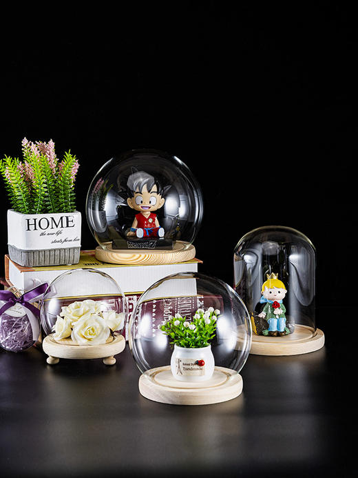 【上手学堂】永生花玻璃罩 商品图0