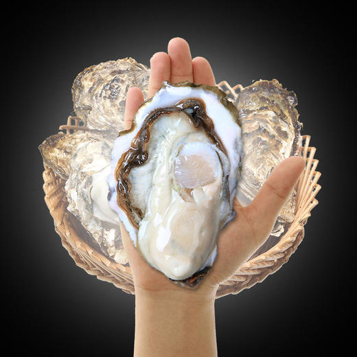 威海·乳山双龟岛鲜活超大（3-4只/斤）牡蛎5/9斤新鲜带壳海蛎子 商品图1