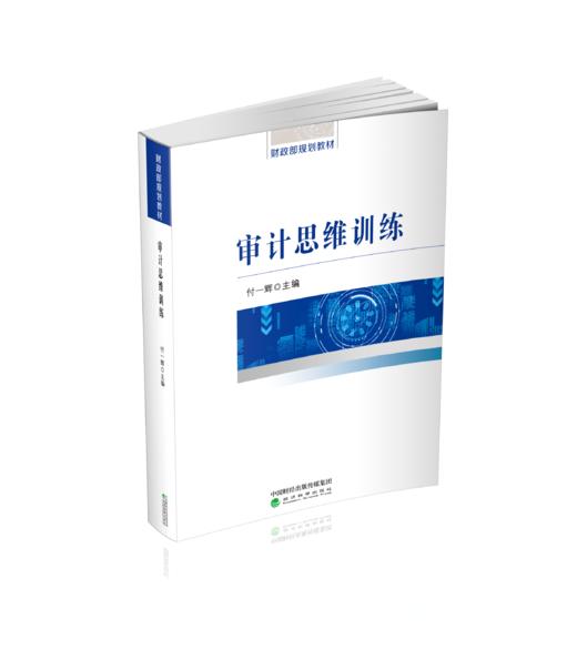 审计思维训练 商品图0