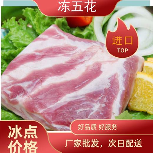 旗舰店  大红门  进口冻五花25kg 商品图0