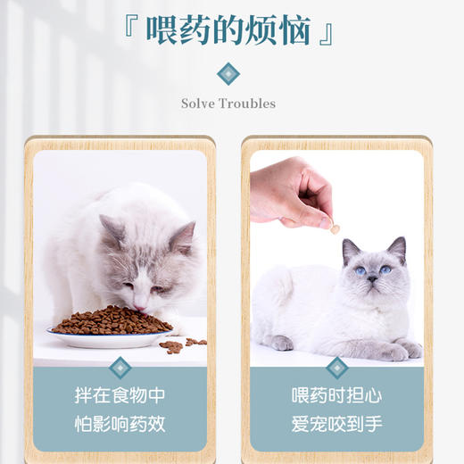 宠物喂药器猫咪狗狗喂药体内驱虫药片 商品图3