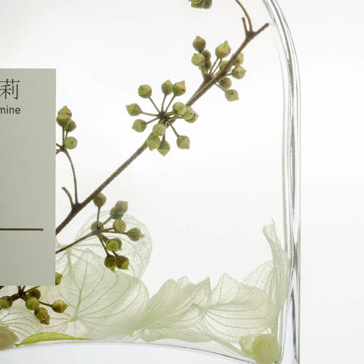 听泉茉莉-四季香薰280ml 商品图2