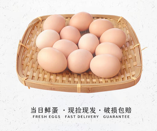 五谷虫草蛋40只装 商品图0