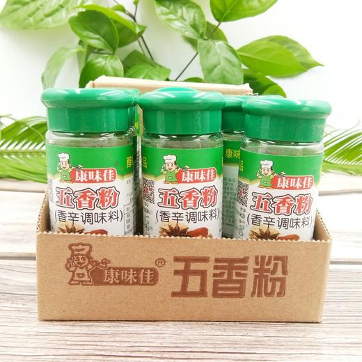 康味佳五香粉    20g*12瓶/盒 商品图0
