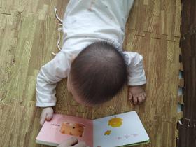 《叽叽叽，是谁呀？》：最后一页有面镜子，超惊喜的，宝宝看到自己的样子马上就大笑