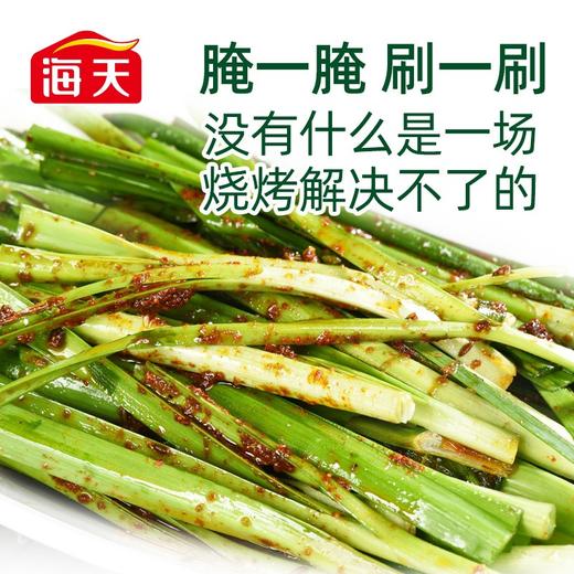 海天烧烤汁 230ml*24瓶/件 商品图2