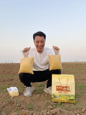 2020新米 有机富硒小米10斤 山地种植 月子小米