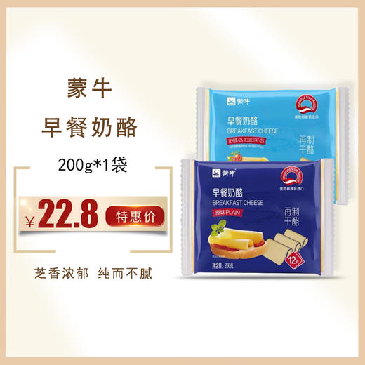 蒙牛芝士片200g早餐即食奶酪，保质期365天，需冷藏储存 商品图0