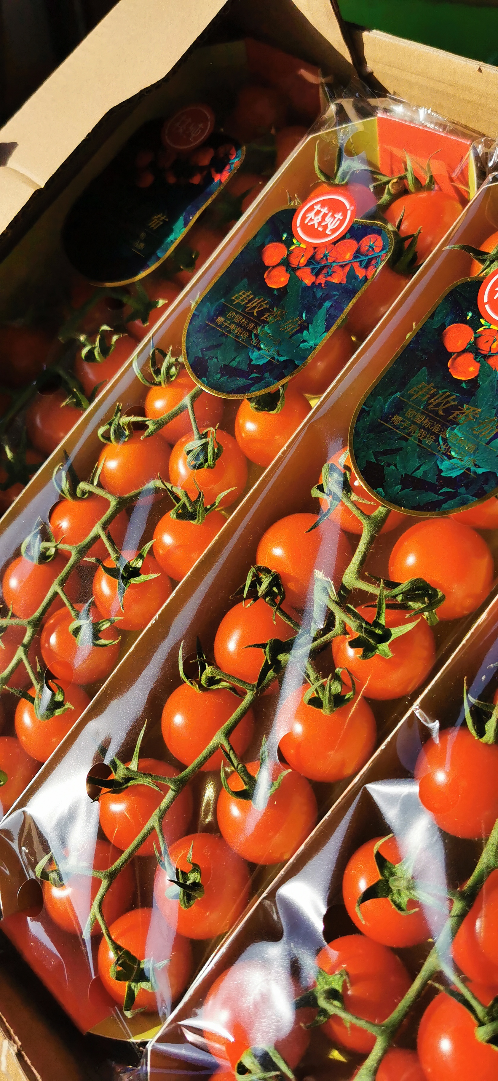 枝纯串千禧655盒