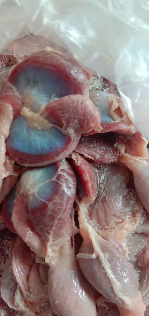 鲜母鸡胗155元斤新鲜修边新鲜母鸡鸡胗带鸡小肚